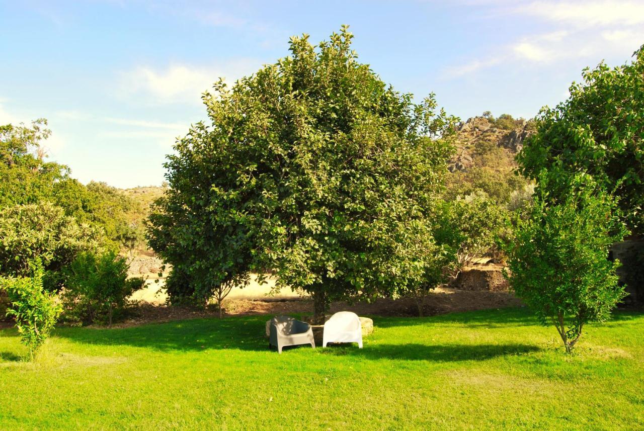 Quinta da Abegoa Marvão Exterior foto